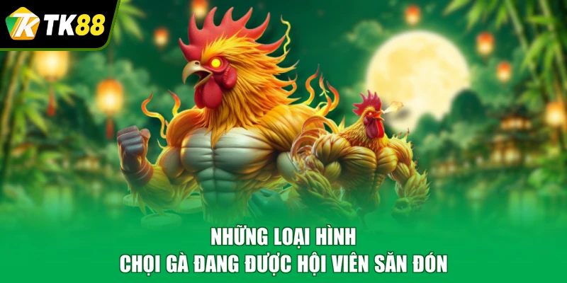 Những loại hình chọi gà đang được hội viên săn đón