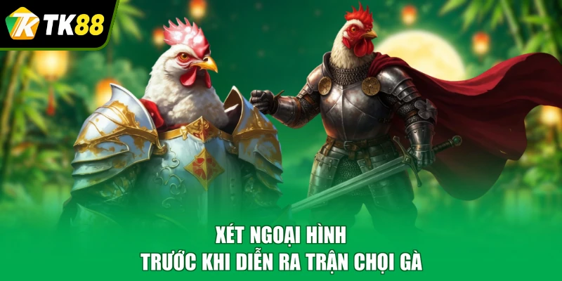 Xét ngoại hình trước khi diễn ra trận chọi gà